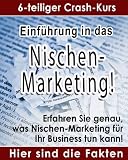 Einführung in das Nischen-Marketing - 6-teiliger Crash Kurs (deutsch-brandneu)