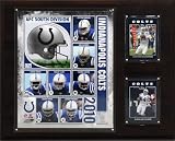 NFL Indianapolis Colts 2010 Team Plaque