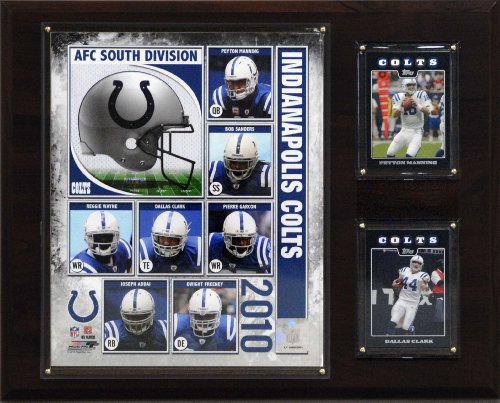 NFL Indianapolis Colts 2010 Team Plaque