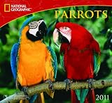 2011 Parrots National Geographic Calendar