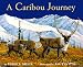 Search : A Caribou Journey