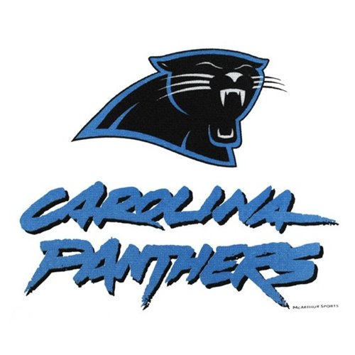 Carolina Panthers Bowling Towel by Master