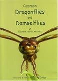 Common Dragonflies and Damselflies of Eastern North America