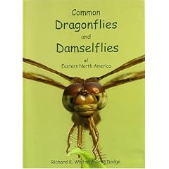 Common Dragonflies and Damselflies of Eastern North America