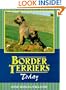 Border Terriers Today