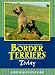 Border Terriers Today Thumbnail