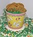 Gourmet Food : Scott's Cakes 1 lb. Chocolate Chip Cookies in a Yellow Bunny Pail