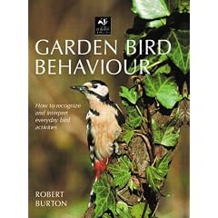 Garden Bird Behaviour