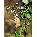 Garden Bird Behaviour