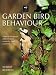 Garden Bird Behaviour