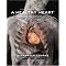 Why Animals Don't Get Heart Attacks but People Do
