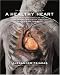 The InVision Guide to a Healthy Heart