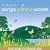 Songs Without Words