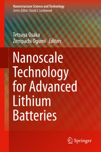 Nanoscale Technology for Advanced Lithium Batteries: 182 (Nanostructure Science and Technology)
