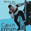 BEFORE THE DREAM FADED... [Vinyl]