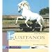Lusitanos