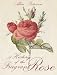 Book A History of the Fragrant Rose