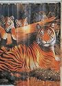 Hautman Quiet Fire Shower Curtain