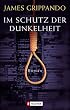 Im Schutz der Dunkelheit: Roman