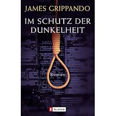 Im Schutz der Dunkelheit: Roman