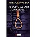 Im Schutz der Dunkelheit: Roman