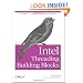 Intel Threading Building Blocks: Outfitting C++ for Multi-Core Processor Parallelism