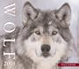 Wolves 2005 Box Calendar