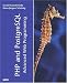 Books : PHP and PostgreSQL Advanced Web Programming (Developer's Guide)