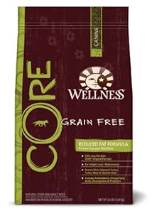 Wellness Grain-Free Dry Dog Food for Adult Dogs, CORE Reduced Fat, 26-Pound Bag Wellness Grain-Free Dry Dog Food for Adult Dogs, CORE Reduced Fat, 26-Pound Bag
