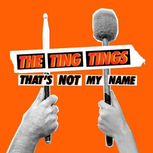 CD-Charts  Music : That's Not My Name