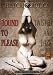Bound to Please