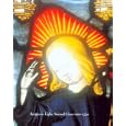Images in Light: Stained Glass 1200-1550 by Michael Michael