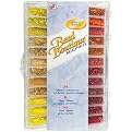Bead Boutique Bead Box and Assorted Beads - Tropical