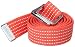 Jester Belts Women's Jester Belt