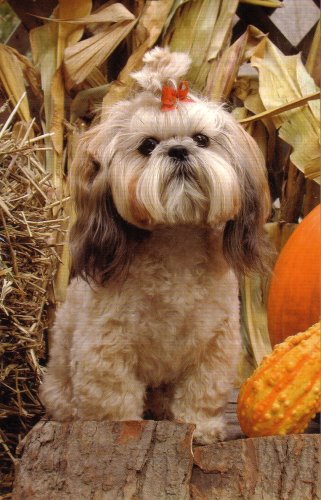 All Hallows Eve