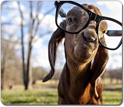 Goofy Goat With Glasses Rectangle Rubber Gaming Mouse Pad Mousepad Mat