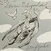Steven Delopoulos-Straightjacket