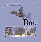 Bat