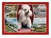 1989 Llandudno, Wales Postcard with Poodle Animals Giclee Poster Print, 12x9