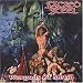 Wargods of Metal von Sacred Steel - alle Infos