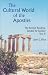 Book The Cultural World of the Apostles: The Second Reading, Sunday by Sunday Year B (Cultural World of Jesus: Sunday by Sunday)
