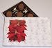 Scott's Cakes Cocoa Covered Dark and Dark Chocolate Truffles 1 Pound Poinsettia Box