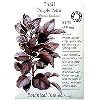 Basil Purple Petra Certified Organic Seeds 300 Seeds