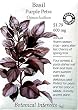 Basil Purple Petra Certified Organic Seeds 300 Seeds