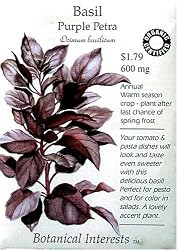Basil Purple Petra Certified Organic Seeds 300 Seeds
