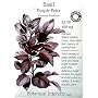Heirloom Basil Seeds - Purple Petra - 100% Certified Organic.
