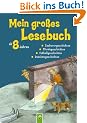 Mein gro�es Lesebuch: Zauberergeschichten, Pferdegeschichten, Fu�ballgeschichten, Detektivgeschichten