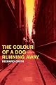 The Colour of a Dog Running Away