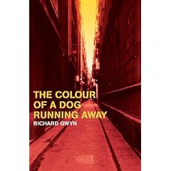 The Colour of a Dog Running Away