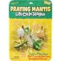 Insect Lore Praying Mantis Life Cycle Stages